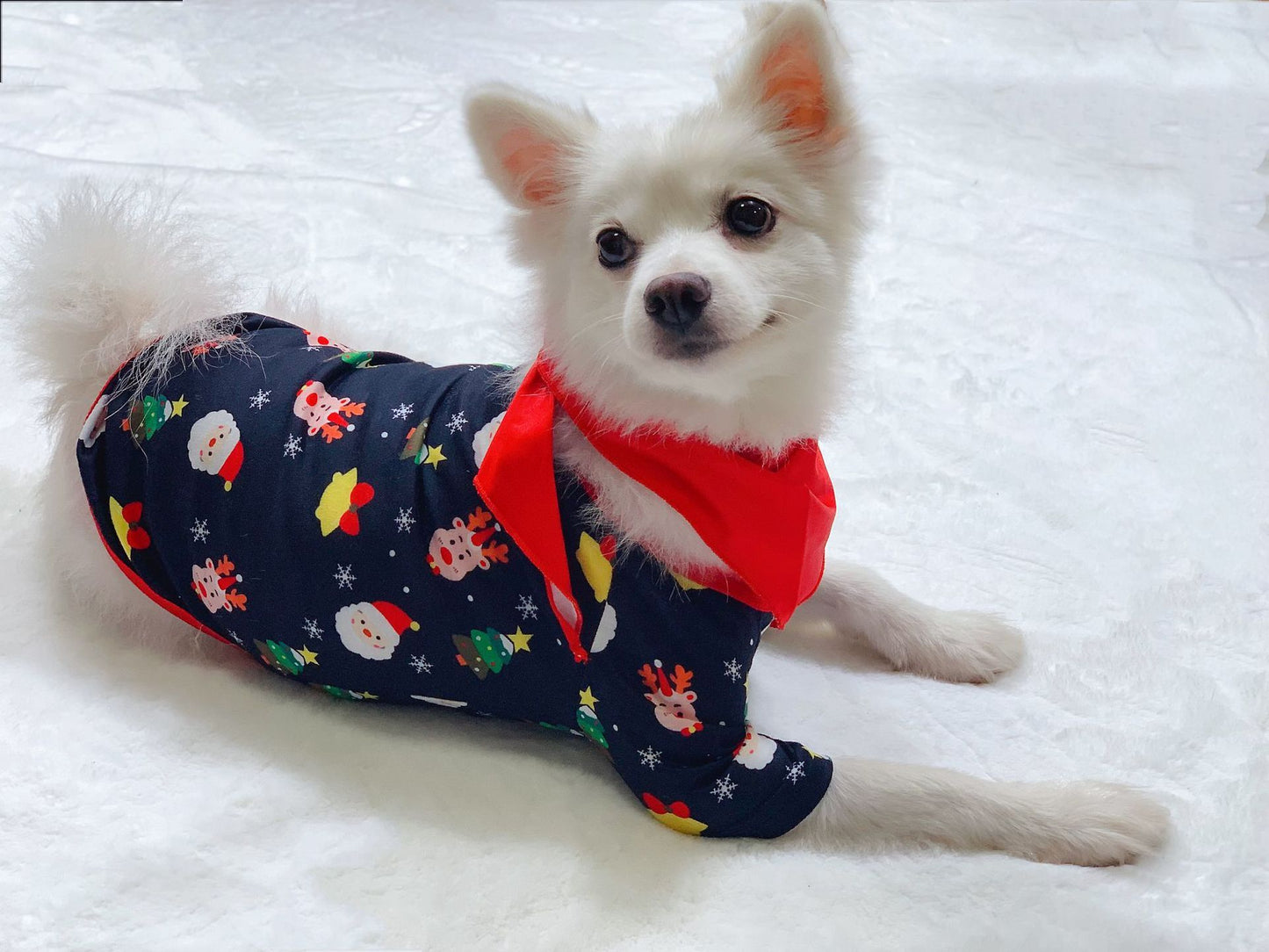 Conjunto de pijamas navideños familiares a juego. Pijamas navideños para la familia. Pijamas navideños. Ropa de dormir navideña.