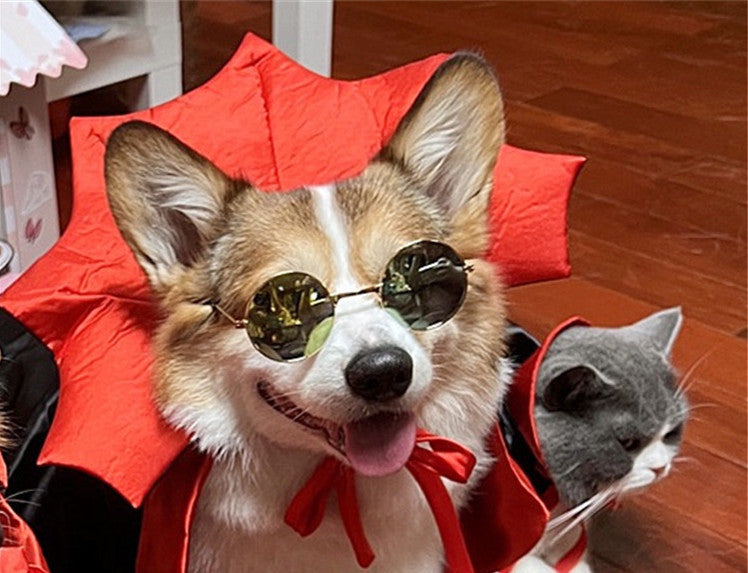 Disfraz de Halloween para mascota, capa de Halloween para mascota, rey vampiro
