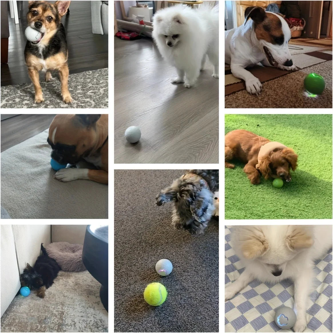 Pelota de juguete inteligente Xiaomi para perros, electrónica, interactiva, con USB, automática, con rebote y luces RGB para gatos