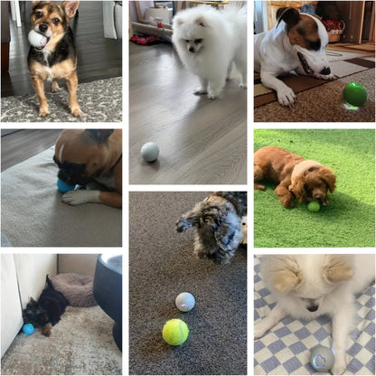 Pelota de juguete inteligente Xiaomi para perros, electrónica, interactiva, con USB, automática, con rebote y luces RGB para gatos