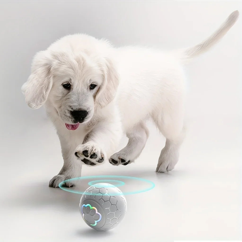 Pelota de juguete inteligente Xiaomi para perros, electrónica, interactiva, con USB, automática, con rebote y luces RGB para gatos