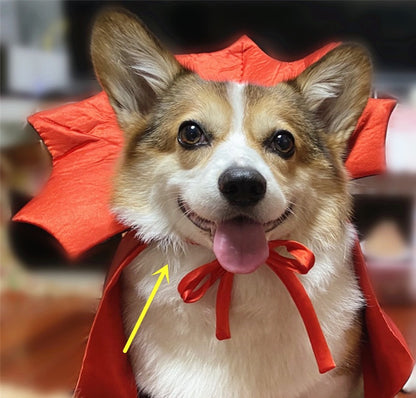 Disfraz de Halloween para mascota, capa de Halloween para mascota, rey vampiro